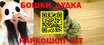 МДПВ Будённовск