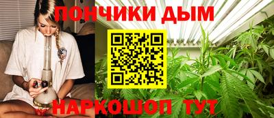 МДПВ Будённовск